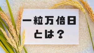 一粒万倍日とは？するべきこと避けたほうがいいことは？