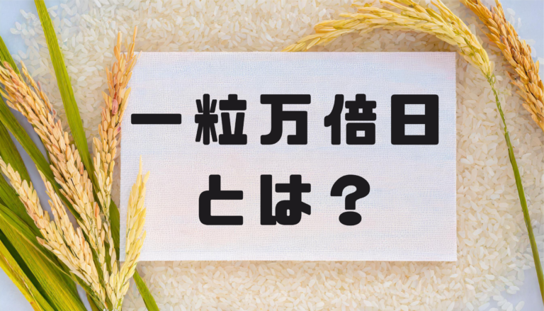 一粒万倍日とは？するべきこと避けたほうがいいことは？