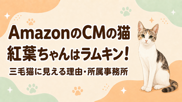 AmazonのCMの猫・紅葉ちゃんはラムキン！三毛猫に見える理由と所属事務所