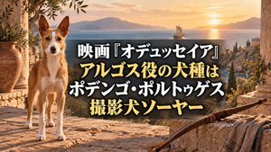 映画『オデュッセイア』アルゴス役の犬種はポデンゴ・ポルトゥゲス！撮影犬ソーヤーを紹介